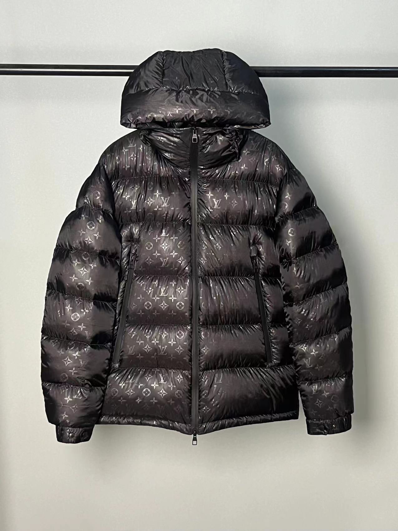 Louis Vuitton Down Jackets